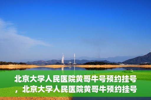 北京大学人民医院黄哥牛号预约挂号，北京大学人民医院黄哥牛预约挂号攻略，轻松预约，便捷就医