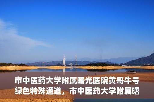 市中医药大学附属曙光医院黄哥牛号绿色特殊通道，市中医药大学附属曙光医院黄哥牛号，绿色特殊通道开启健康之门