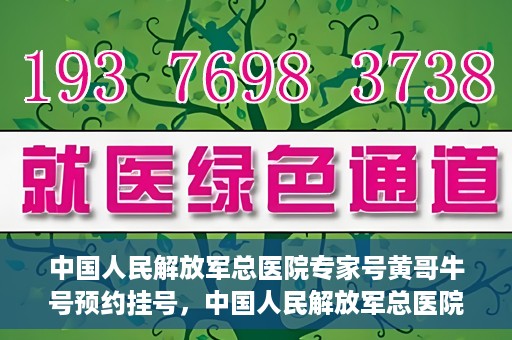 中国人民解放军总医院专家号黄哥牛号预约挂号，中国人民解放军总医院黄哥牛号专家号预约挂号攻略