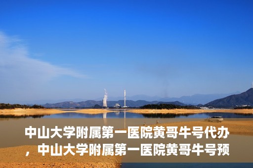 中山大学附属第一医院黄哥牛号代办，中山大学附属第一医院黄哥牛号预约挂号代办攻略