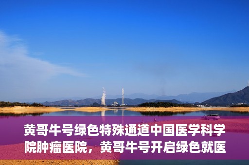 黄哥牛号绿色特殊通道中国医学科学院肿瘤医院，黄哥牛号开启绿色就医通道，中国医学科学院肿瘤医院专注诊疗新篇章
