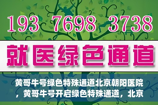 黄哥牛号绿色特殊通道北京朝阳医院，黄哥牛号开启绿色特殊通道，北京朝阳医院助力健康之路