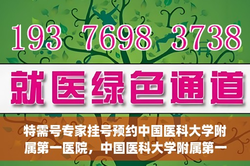特需号专家挂号预约中国医科大学附属第一医院，中国医科大学附属第一医院特需专家挂号预约指南