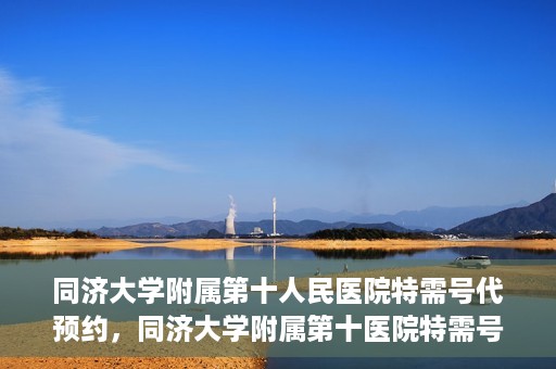 同济大学附属第十人民医院特需号代预约，同济大学附属第十医院特需号预约服务详解