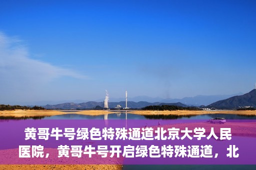 黄哥牛号绿色特殊通道北京大学人民医院，黄哥牛号开启绿色特殊通道，北京大学人民医院创新实践
