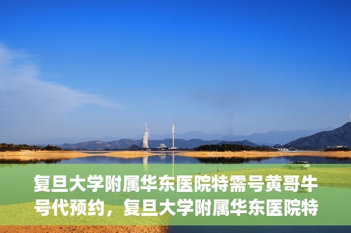 复旦大学附属华东医院特需号黄哥牛号代预约，复旦大学附属华东医院特需号黄哥牛号预约服务解析