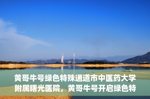 黄哥牛号绿色特殊通道市中医药大学附属曙光医院，黄哥牛号开启绿色特殊通道，市中医药大学附属曙光医院倾力打造健康新篇章