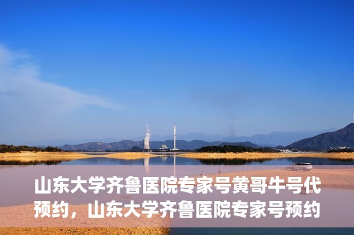 山东大学齐鲁医院专家号黄哥牛号代预约，山东大学齐鲁医院专家号预约服务解析，黄哥牛号代预约详解