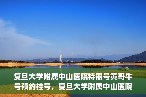 复旦大学附属中山医院特需号黄哥牛号预约挂号，复旦大学附属中山医院特需号专家黄哥牛预约挂号攻略