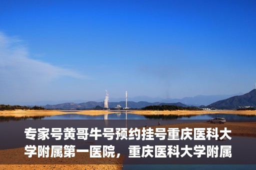专家号黄哥牛号预约挂号重庆医科大学附属第一医院，重庆医科大学附属第一医院专家号黄哥牛号预约挂号指南