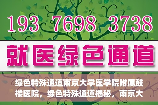 绿色特殊通道南京大学医学院附属鼓楼医院，绿色特殊通道揭秘，南京大学医学院附属鼓楼医院的探索与实践