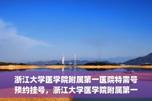 浙江大学医学院附属第一医院特需号预约挂号，浙江大学医学院附属第一医院特需号预约挂号详解