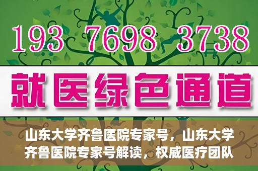 山东大学齐鲁医院专家号，山东大学齐鲁医院专家号解读，权威医疗团队的专业解读与诊疗之道
