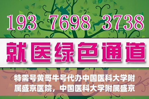 特需号黄哥牛号代办中国医科大学附属盛京医院，中国医科大学附属盛京医院特需号黄哥牛号代办服务详解