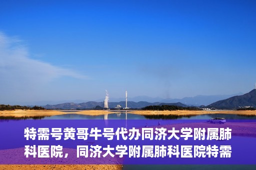 特需号黄哥牛号代办同济大学附属肺科医院，同济大学附属肺科医院特需号黄哥牛号代办服务揭秘