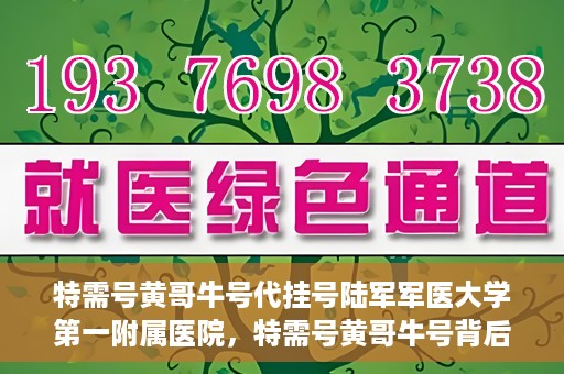 特需号黄哥牛号代挂号陆军军医大学第一附属医院，特需号黄哥牛号背后的故事，陆军军医大学第一附属医院代挂号揭秘