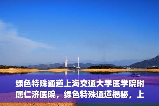 绿色特殊通道上海交通大学医学院附属仁济医院，绿色特殊通道揭秘，上海交通大学医学院附属仁济医院的探索与实践