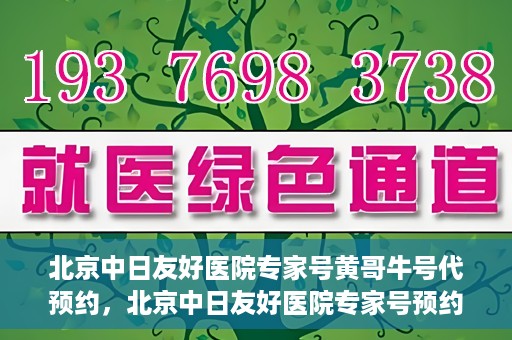 北京中日友好医院专家号黄哥牛号代预约，北京中日友好医院专家号预约服务解析，黄哥牛号代预约详解