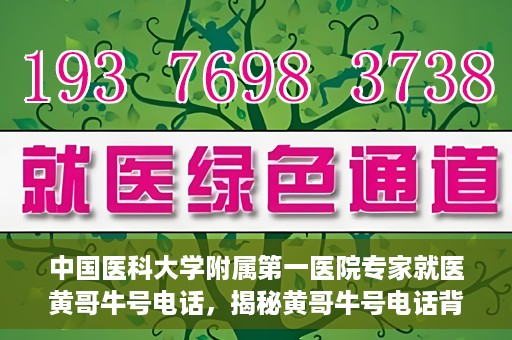 中国医科大学附属第一医院专家就医黄哥牛号电话，揭秘黄哥牛号电话背后的故事，中国医科大学附属第一医院专家就医之路
