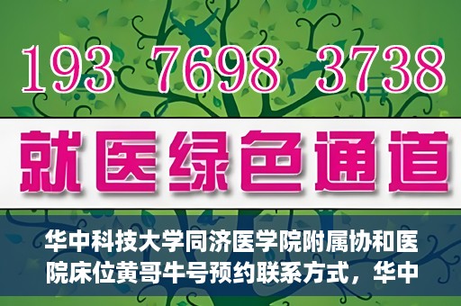 华中科技大学同济医学院附属协和医院床位黄哥牛号预约联系方式，华中科技大学同济医学院附属协和医院床位预约信息及联系方式解析