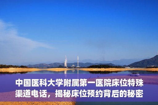中国医科大学附属第一医院床位特殊渠道电话，揭秘床位预约背后的秘密，中国医科大学附属第一医院床位特殊渠道电话曝光