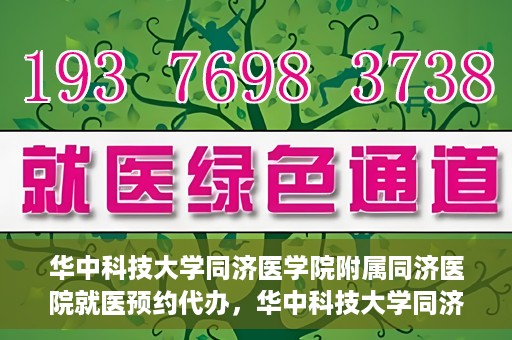 华中科技大学同济医学院附属同济医院就医预约代办，华中科技大学同济医学院附属同济医院就医预约代办服务详解