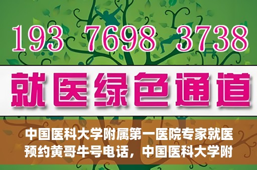 中国医科大学附属第一医院专家就医预约黄哥牛号电话，中国医科大学附属第一医院专家预约挂号热线，黄哥牛号电话助您轻松就医。