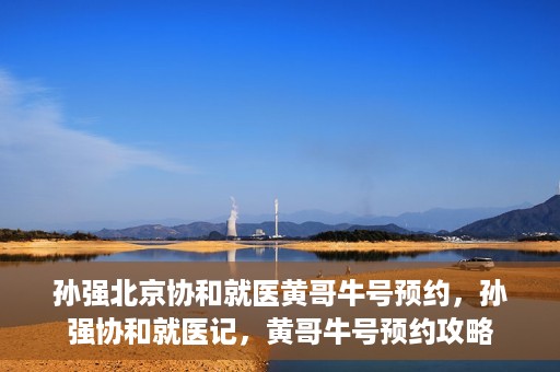 孙强北京协和就医黄哥牛号预约，孙强协和就医记，黄哥牛号预约攻略