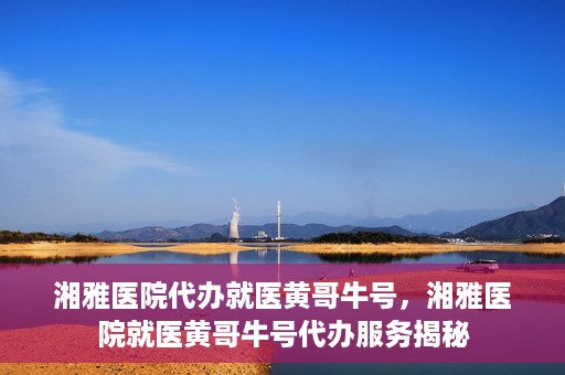 湘雅医院代办就医黄哥牛号，湘雅医院就医黄哥牛号代办服务揭秘