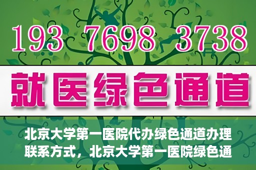 北京大学第一医院代办绿色通道办理联系方式，北京大学第一医院绿色通道办理指南及联系方式揭秘