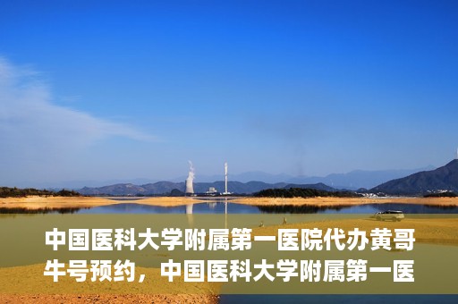 中国医科大学附属第一医院代办黄哥牛号预约，中国医科大学附属第一医院预约挂号代办服务解析——黄哥牛号预约揭秘