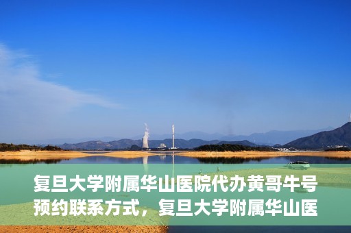 复旦大学附属华山医院代办黄哥牛号预约联系方式，复旦大学附属华山医院预约挂号联系方式及代办服务解析，黄哥牛号预约揭秘