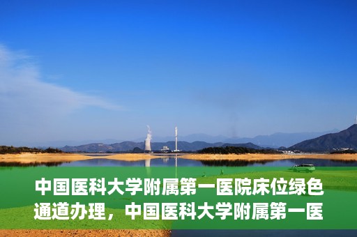 中国医科大学附属第一医院床位绿色通道办理，中国医科大学附属第一医院床位绿色通道办理详解，快速入院攻略