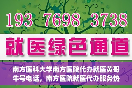 南方医科大学南方医院代办就医黄哥牛号电话，南方医院就医代办服务热线揭秘，黄哥牛号电话助您轻松就医！