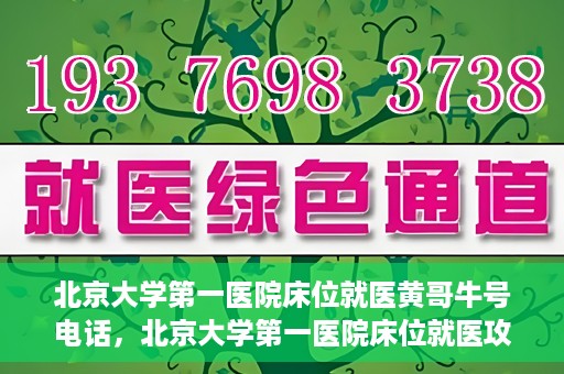 北京大学第一医院床位就医黄哥牛号电话，北京大学第一医院床位就医攻略，黄哥牛号电话全解析