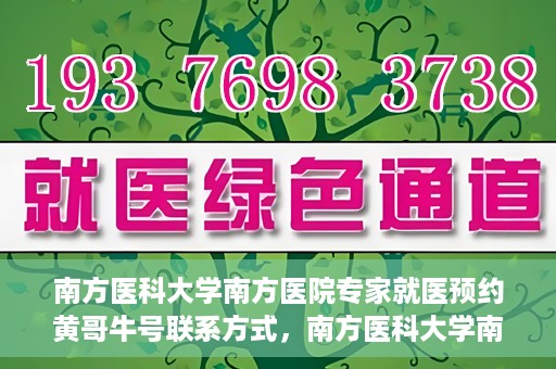 南方医科大学南方医院专家就医预约黄哥牛号联系方式，南方医科大学南方医院专家预约挂号指南，黄哥牛号联系方式揭秘