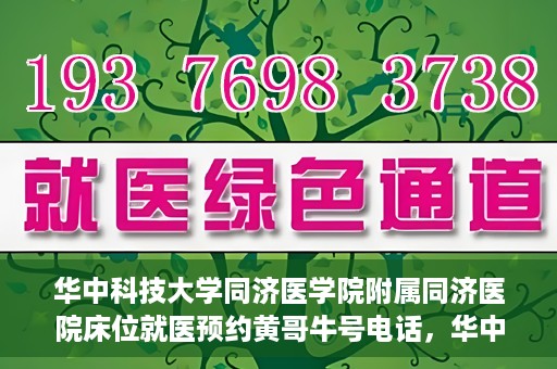 华中科技大学同济医学院附属同济医院床位就医预约黄哥牛号电话，华中科技大学同济医院床位预约热线，黄哥牛号电话一览