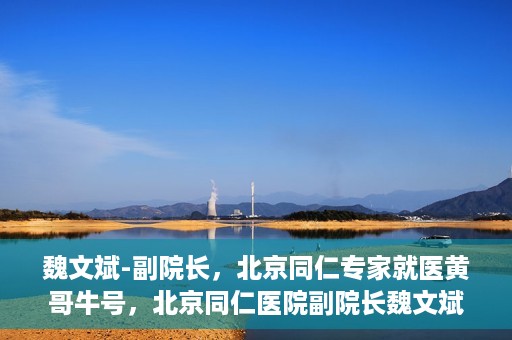 魏文斌-副院长，北京同仁专家就医黄哥牛号，北京同仁医院副院长魏文斌，黄哥牛号背后的专家就医解读