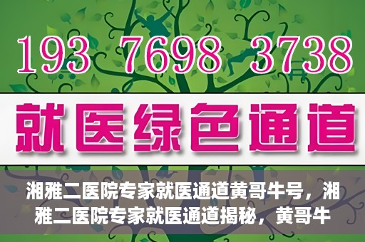 湘雅二医院专家就医通道黄哥牛号，湘雅二医院专家就医通道揭秘，黄哥牛号引领就医新风尚