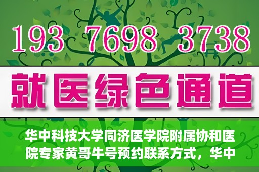 华中科技大学同济医学院附属协和医院专家黄哥牛号预约联系方式，华中科技大学同济医学院附属协和医院专家黄哥牛预约挂号联系方式揭秘
