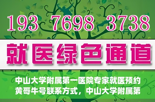 中山大学附属第一医院专家就医预约黄哥牛号联系方式，中山大学附属第一医院专家黄哥牛号预约指南，就医预约联系方式全解析