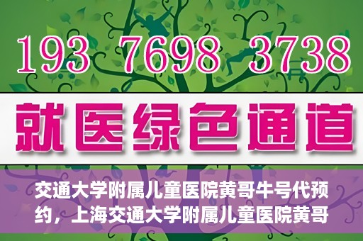 交通大学附属儿童医院黄哥牛号代预约，上海交通大学附属儿童医院黄哥牛号预约指南，轻松预约，关爱儿童健康之路