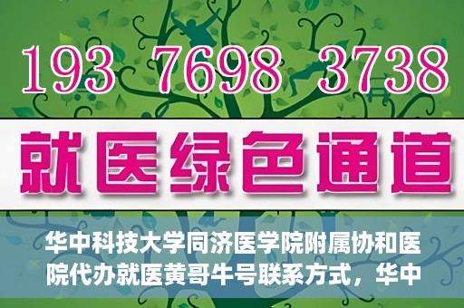 华中科技大学同济医学院附属协和医院代办就医黄哥牛号联系方式，华中科技大学同济医学院附属协和医院就医黄哥牛号联系方式揭秘