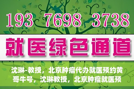 沈琳-教授，北京肿瘤代办就医预约黄哥牛号，沈琳教授，北京肿瘤就医预约背后的故事——黄哥牛号揭秘