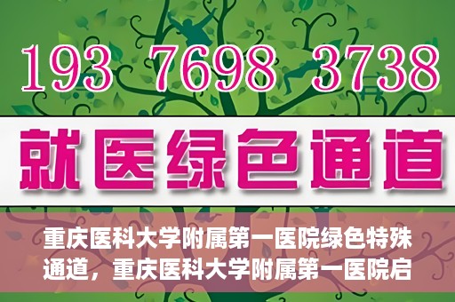 重庆医科大学附属第一医院绿色特殊通道，重庆医科大学附属第一医院启动绿色特殊通道，高效医疗服务的探索与实践