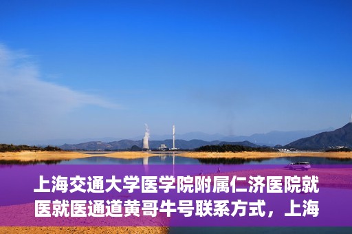 上海交通大学医学院附属仁济医院就医就医通道黄哥牛号联系方式，上海交通大学医学院附属仁济医院就医通道详解，黄哥牛号联系方式揭秘