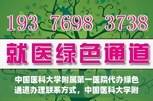 中国医科大学附属第一医院代办绿色通道办理联系方式，中国医科大学附属第一医院绿色通道办理指南及联系方式揭秘