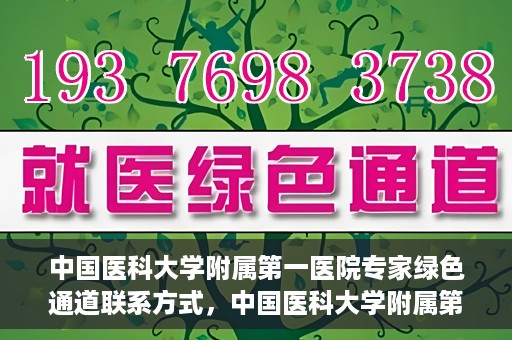 中国医科大学附属第一医院专家绿色通道联系方式，中国医科大学附属第一医院专家绿色通道联系热线及咨询方式