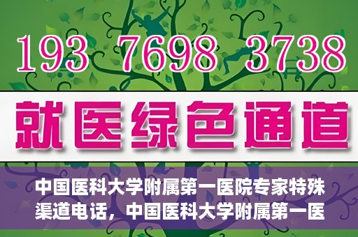 中国医科大学附属第一医院专家特殊渠道电话，中国医科大学附属第一医院专家特殊渠道专线揭秘