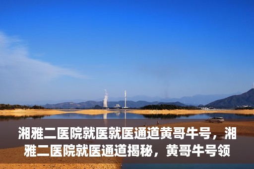 湘雅二医院就医就医通道黄哥牛号，湘雅二医院就医通道揭秘，黄哥牛号领航就医路